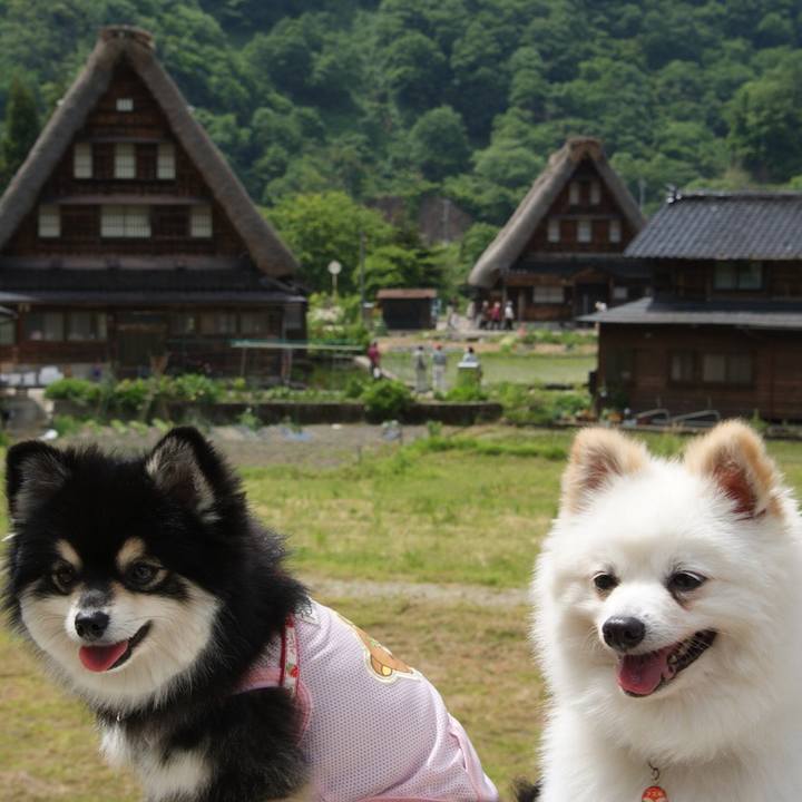 Ba9a93d9 8fd6 42bb 813b 7f7b78f5ad2f 1548940842298