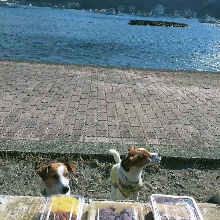 Ba9ae210 4db1 44d3 b30d f9678ad07877 1769253318434