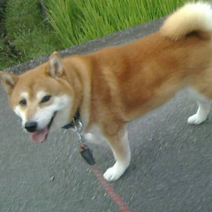 Ba9aed4c 55f8 47bb 8134 03f60de80a54 1567940091037