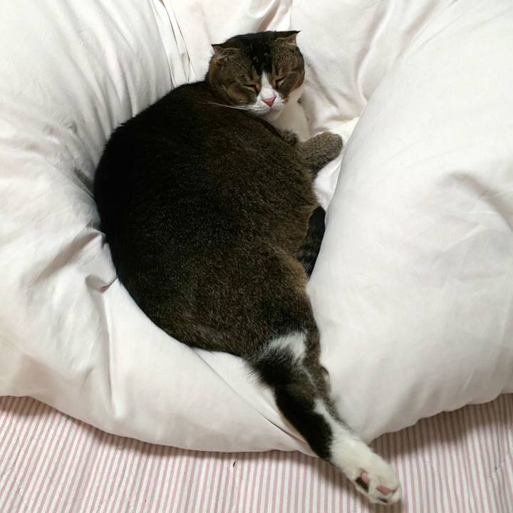 Ba9b89e6 0711 44f2 ad0a 8472aed5da63 1603664971207