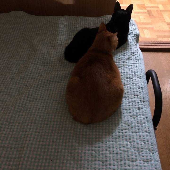 Ba9baef5 8c75 449b bc1a a0b831b4fe7e 1723982645725