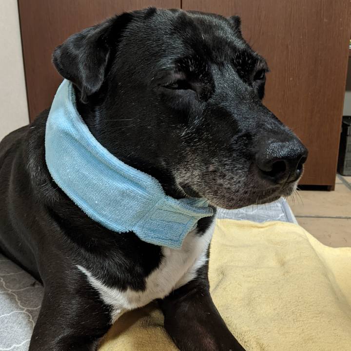 Ba9bce4f 6e92 45a0 a1e2 4fd0e9213ec8 1692439435299