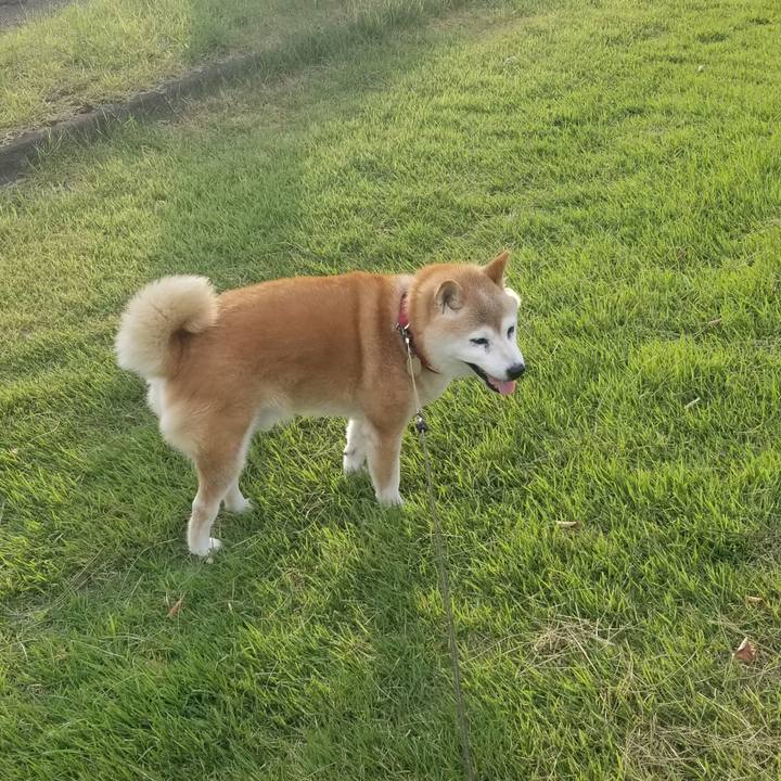 Ba9c123f 5413 4af6 b0c0 731c884609e0 1723537906523