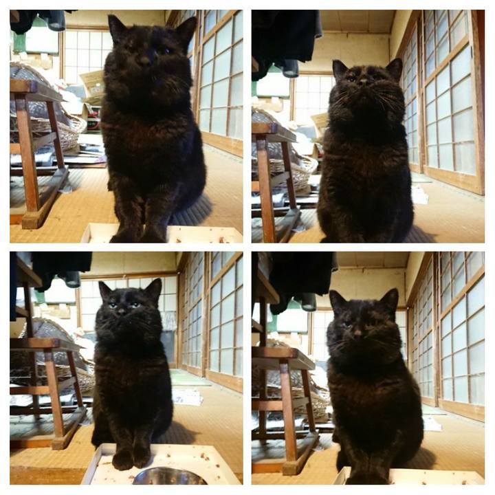 Ba9c4510 b8be 4b5f adb6 4ec11295c02c 1617182779425