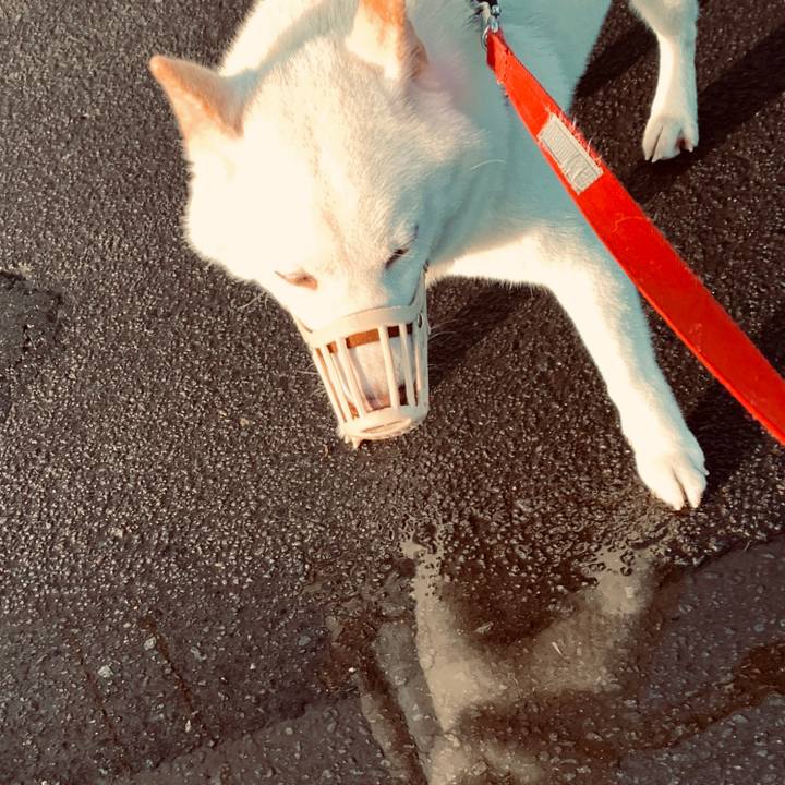 Ba9c46c0 bac0 467c 8287 5fbeb53933ca 1568533344064