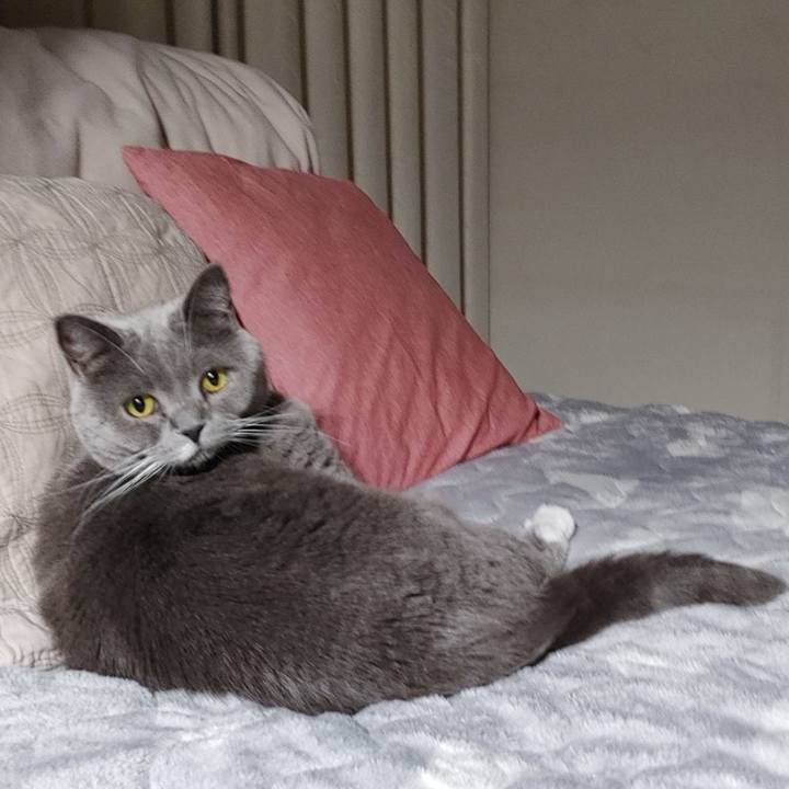 Ba9c7707 ab9c 455d bc8d 7538d3172475 1644760103669