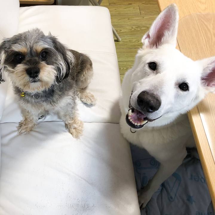 Ba9c7b35 0739 4911 92ef 6e17580eb055 1552740380793