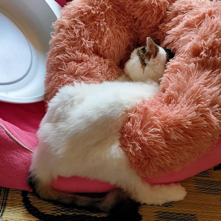 Ba9c842e a51c 4893 92f2 b015d3def4cb 1592376761090