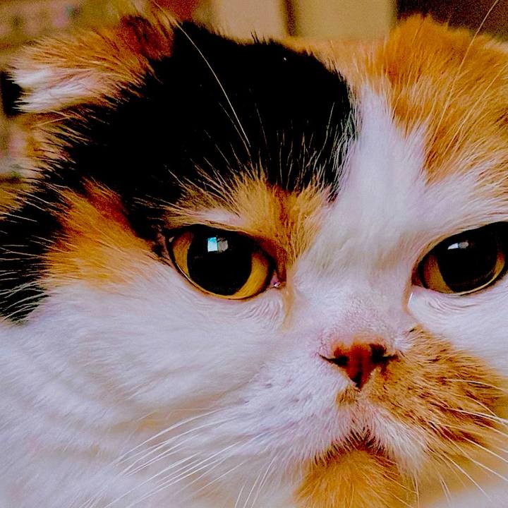 Ba9c870e 632a 419e a6f3 1a49cdba23f3 1735376506599