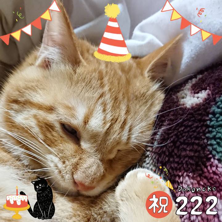 Ba9ca53d 0077 41c2 b78c 9056534520d9 1645530157095