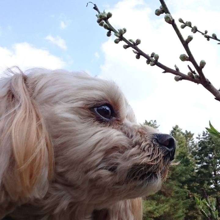 Ba9cbd2c 3bf7 44e9 a129 74bed8845e06 1520752460561