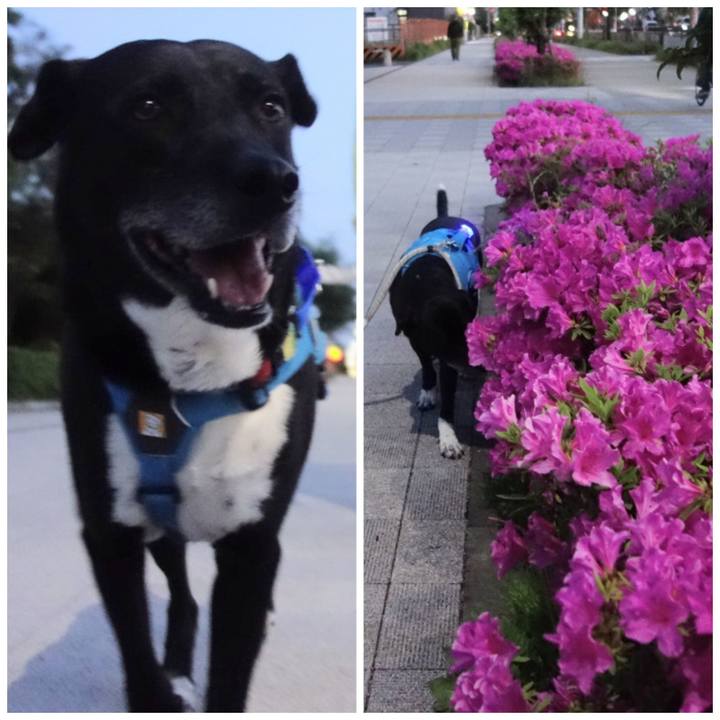 Ba9cde38 94cb 4853 82b1 b9fa91050883 1682594244258