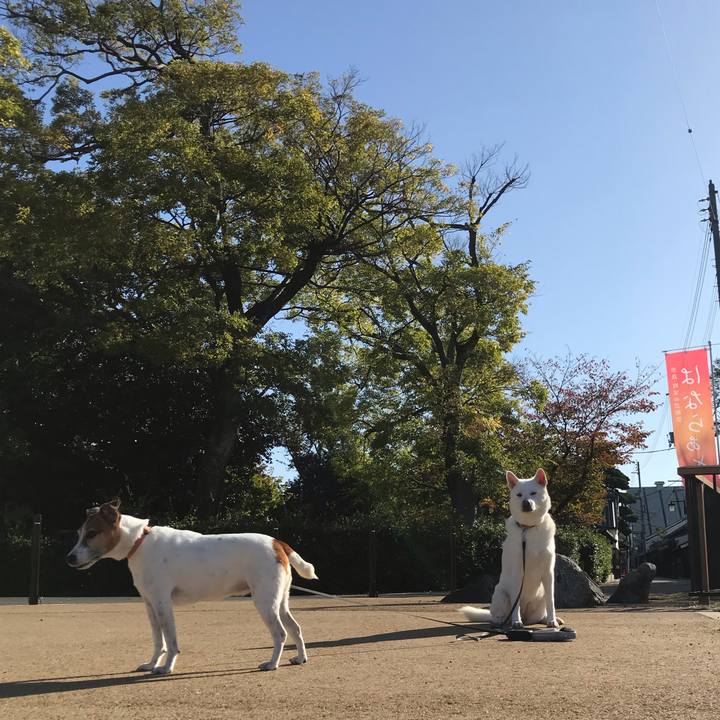 Ba9d0e75 2561 4943 bba6 28cd6ec0defd 1540131795480