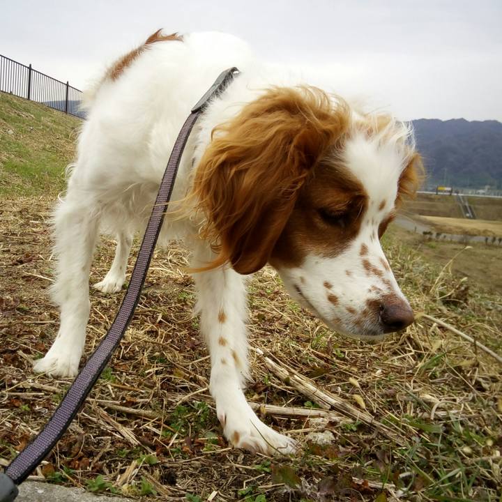 Ba9d1d1d ada1 4da1 8cb3 d691874feaed 1517127090831