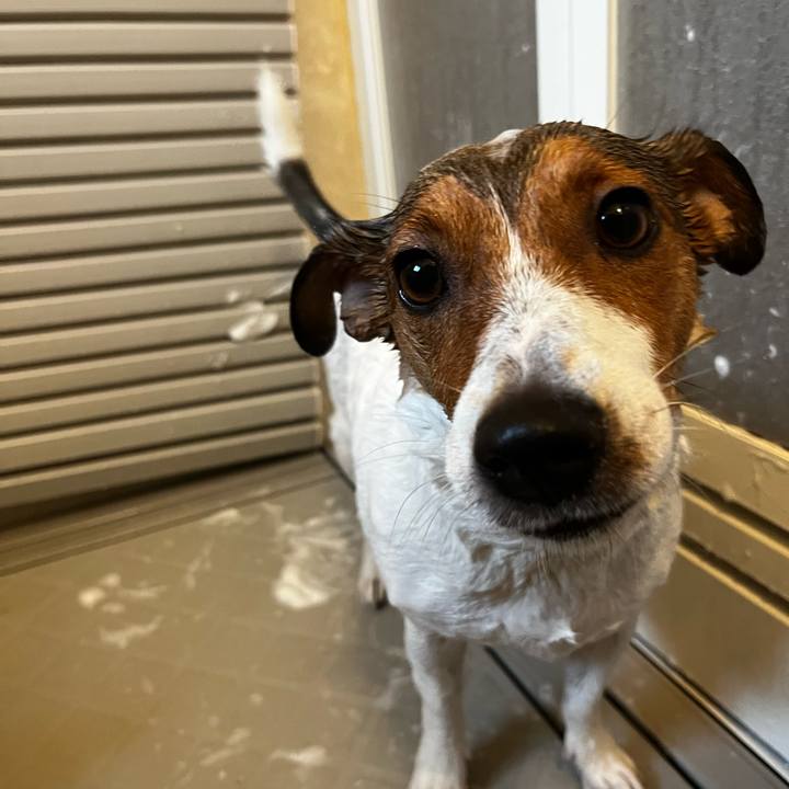 Ba9d3cce 144f 4dab bc2e f42f9d4282c0 1730529657402