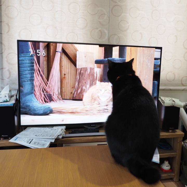 Ba9d50b4 1af4 4b4e 9868 4810b43b51fd 1534463654973