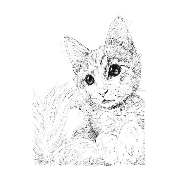 Ba9d57f8 8424 4ece aa97 1b8ea75ca9e1 1610891598141