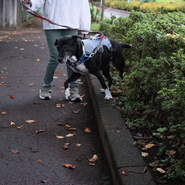 Ba9d6522 e48a 4a95 a3b3 16ef2531daab 1761090147094