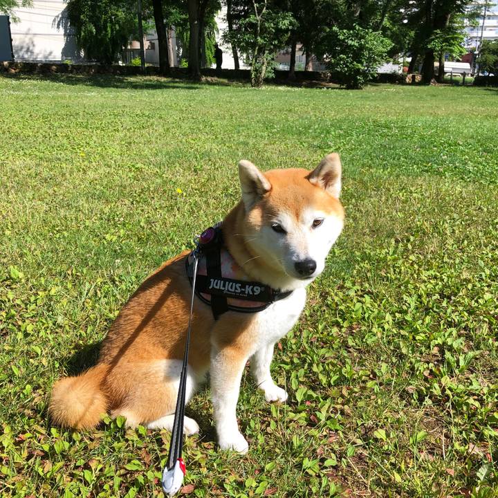 Ba9d7b72 0121 4e48 ab4a 79b55fa45d98 1593477900775