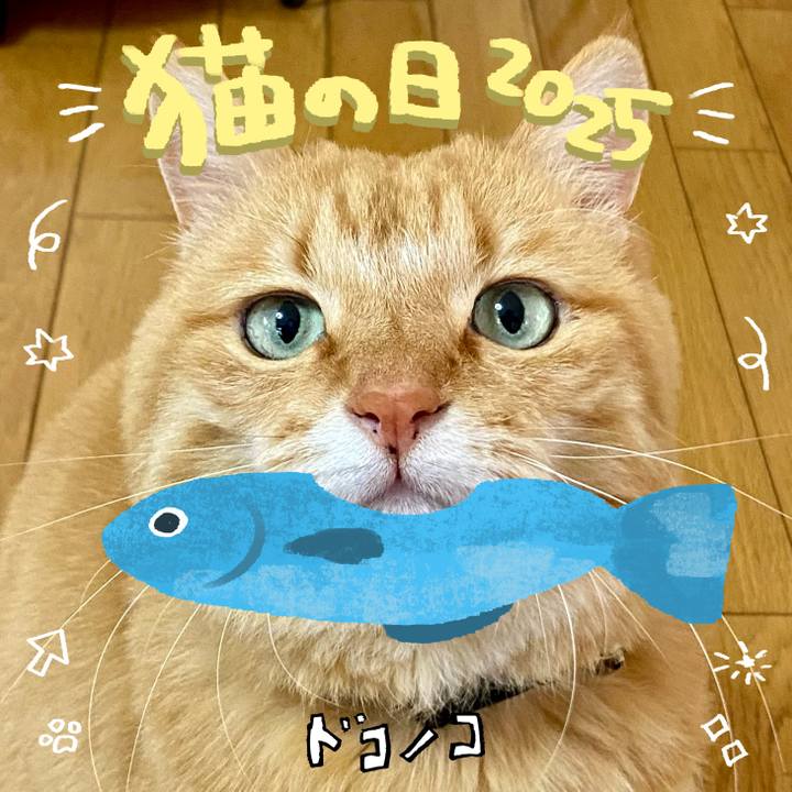 Ba9d8b07 449c 4c85 bdcf e7f1b5ce2c97 1740201588409