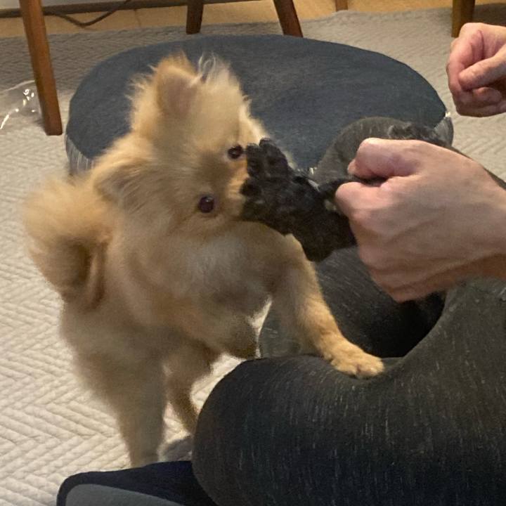 Ba9d8e9c 4313 4260 8fa9 53e974243fa8 1641812359434