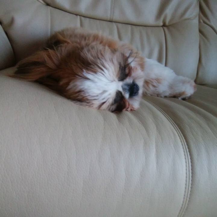 Ba9db00c b2e1 439f b372 0f7bf65f8f63 1547164506349