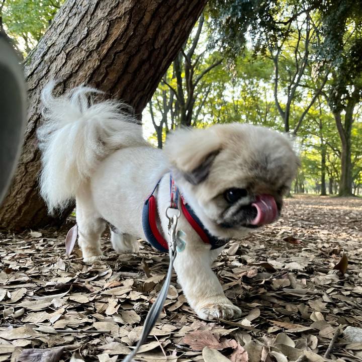 Ba9dca3a 5163 4ce4 bef9 9d4fb97fcea5 1728774878466