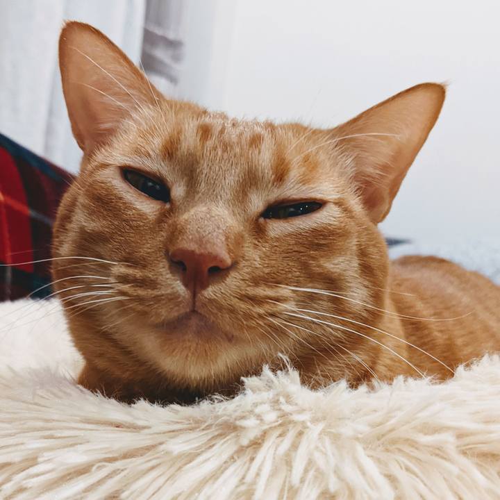 Ba9dd51d e90a 44de b2b9 51e1753cb79e 1640699081450