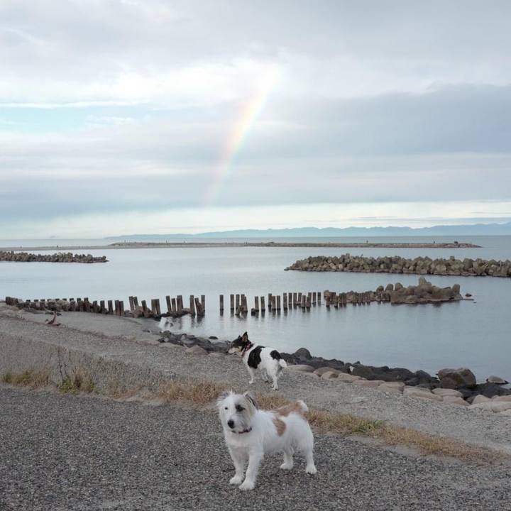 Ba9dff5c 5bb8 4b4c 829f 0e44460f017a 1606222769226