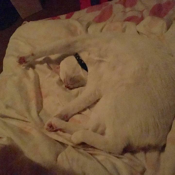 Ba9e5e20 ae88 4cdd a847 9653601f8d6d 1527348182484