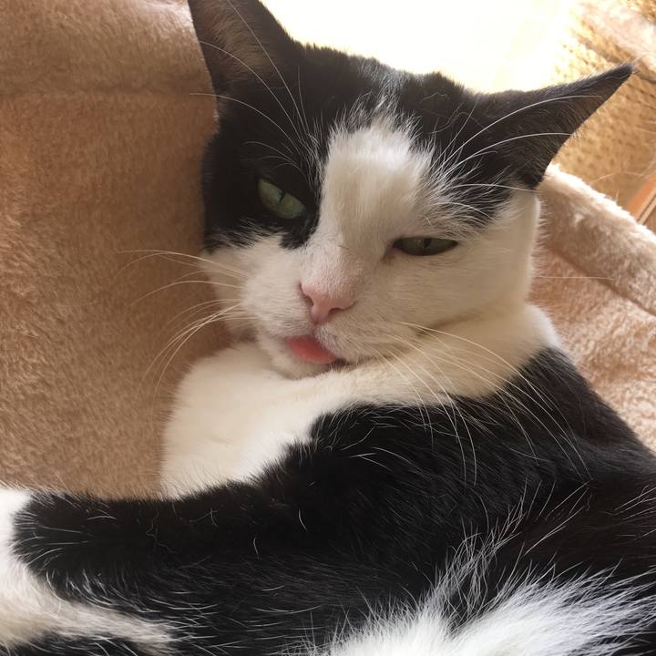 Ba9e7441 9b93 4404 b1ca 37097f8b496a 1567994344238