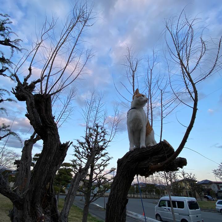 Ba9ebaa0 2ff3 4f6c a6e5 e2d3f11e60b3 1586514790687