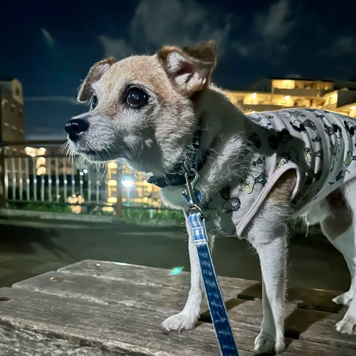 Ba9ec72c e718 44f3 a3ef 0491eeb85999 1692705603661