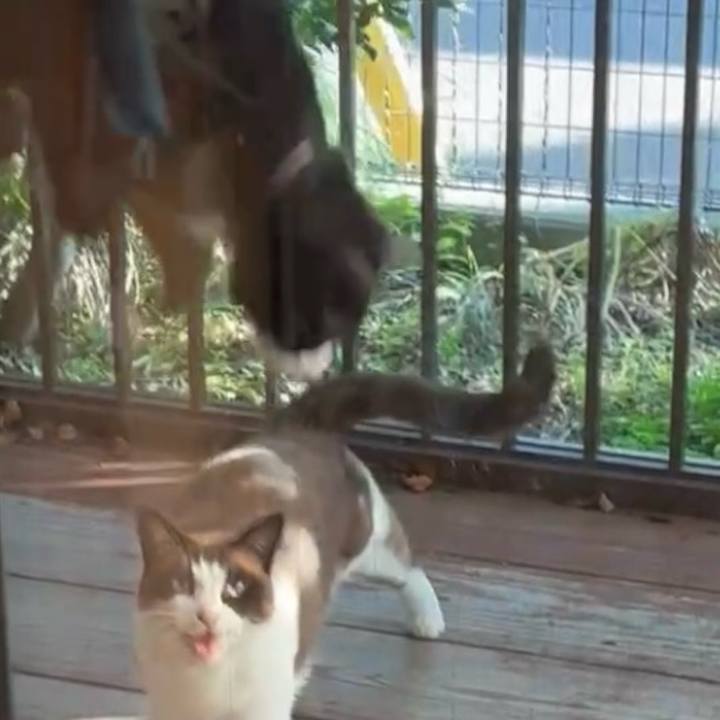 Ba9ecc59 43bc 4aef 82fd 165b685bd991 1751016652414