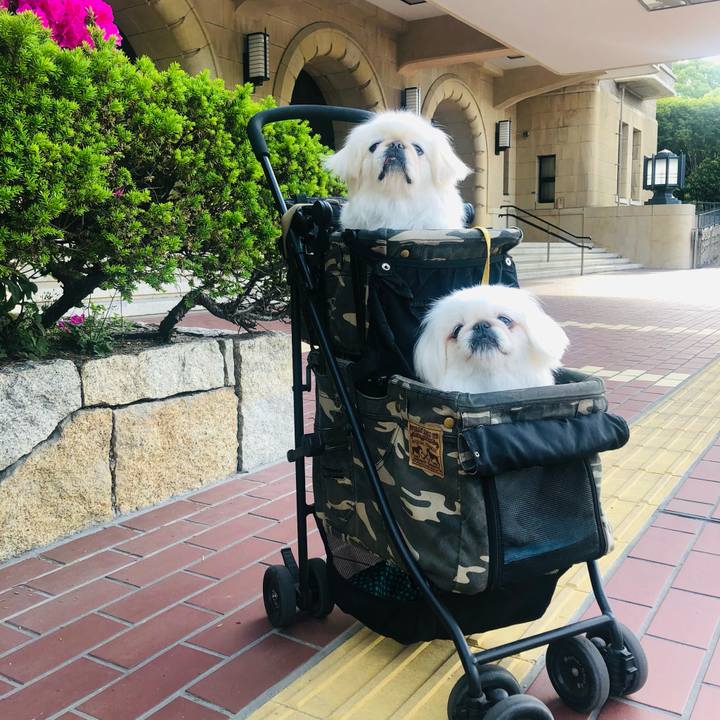 Ba9f1713 4983 478b 91c2 74a991c80507 1619418120625