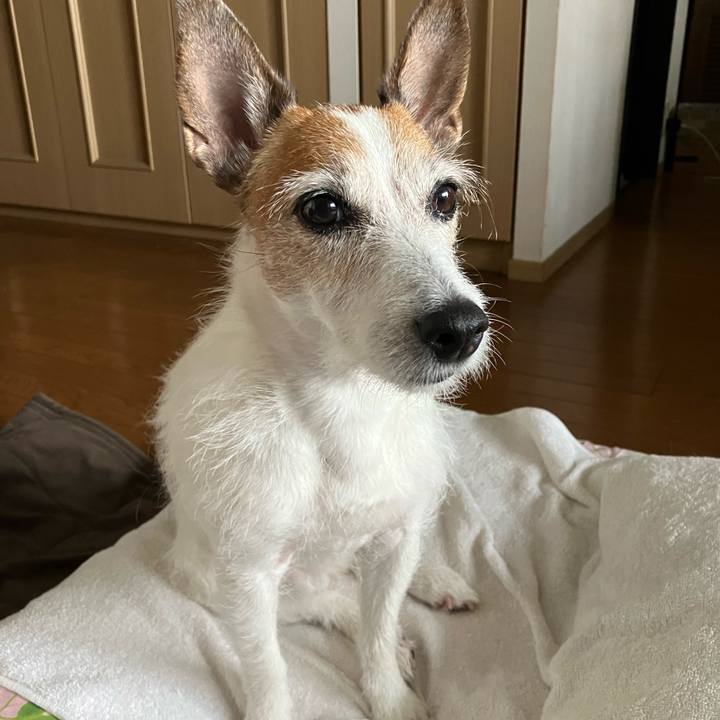 Ba9f7458 1d81 4aed b451 ec43ba0d5d12 1687994114808