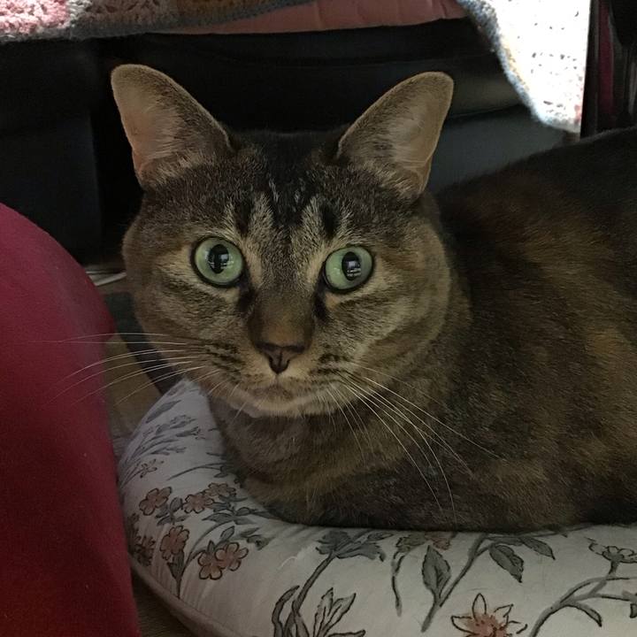 Ba9f7aa1 0850 4f37 be54 9a11df0b1c9e 1754906507861