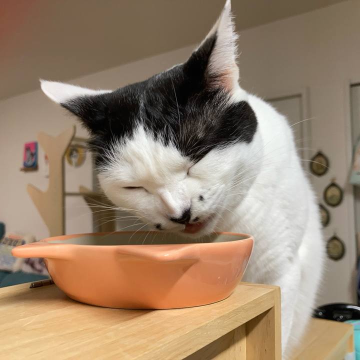 Ba9f7bab 5408 4705 8b0f 66a9be9d22ba 1761339919773