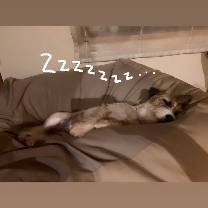 Ba9f81d6 12b4 4606 9a0d 30cfb7719dbc 1595942517946