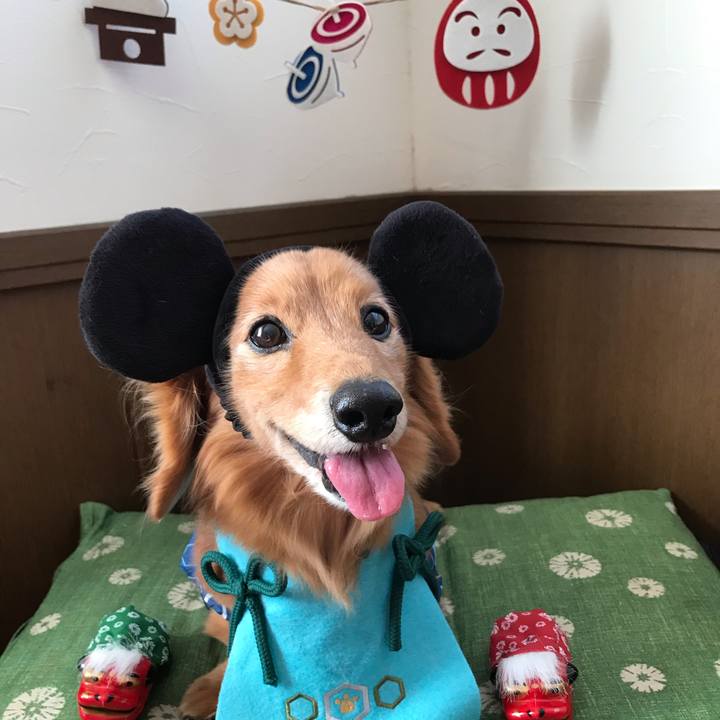 Ba9fe236 e2dc 4933 887a 96b71c4f6036 1577882307755