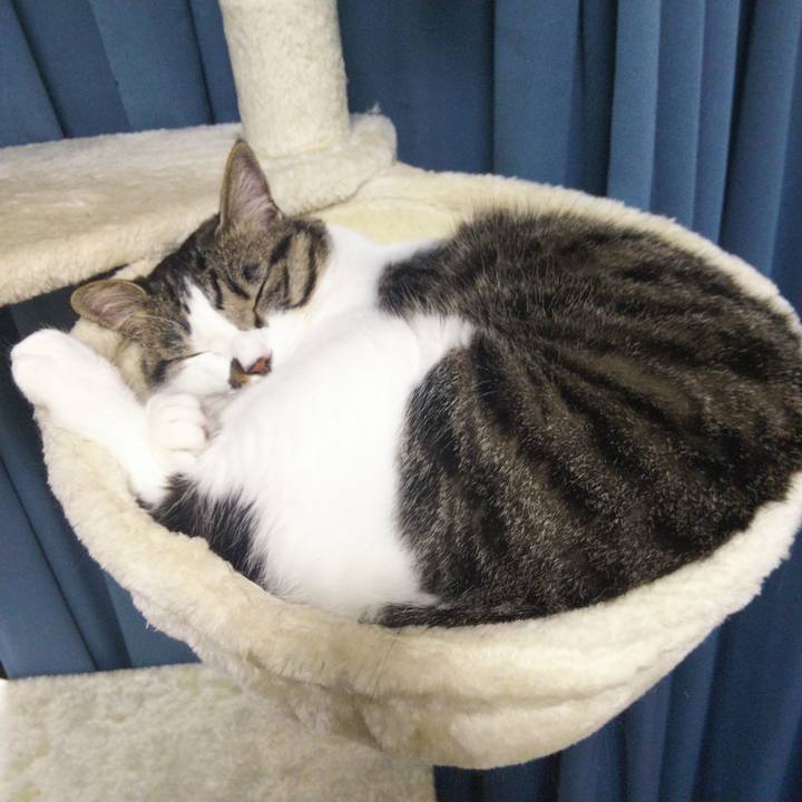 Ba9ff6e5 3aae 4e66 8eb4 7fd30c5252c9 1654493674947