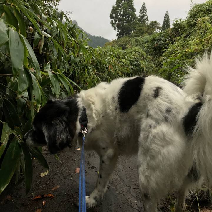 Baa00291 5a5a 451d 8ba2 321f280f9461 1508292121574