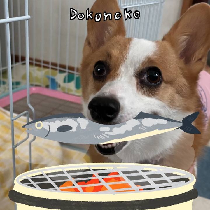 Baa00827 69b8 4d71 b783 721a0558d2e1 1761113381929