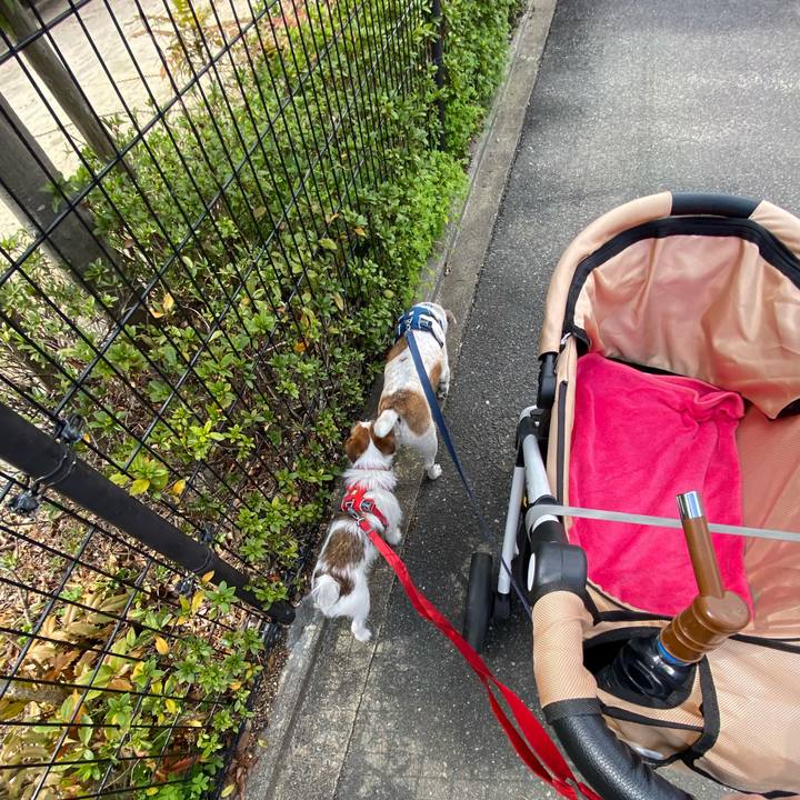 Baa03d8c 351b 4dcf 87c6 d6f706c6f9f5 1647830054082