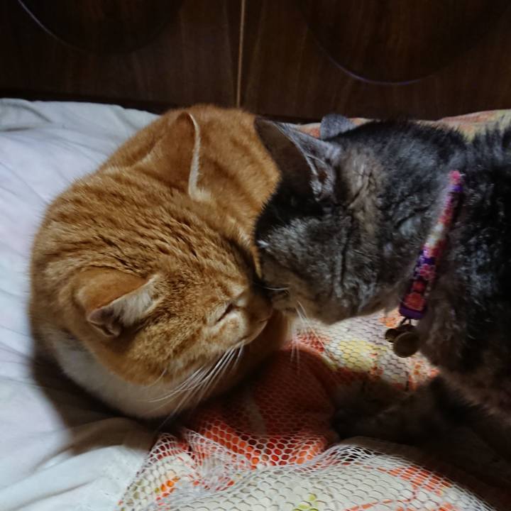 Baa07660 5e7a 4b8f af13 f5105e185e79 1581336995034