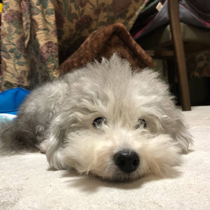 Baa07c58 a16b 433a be06 e859393797c8 1541978079126