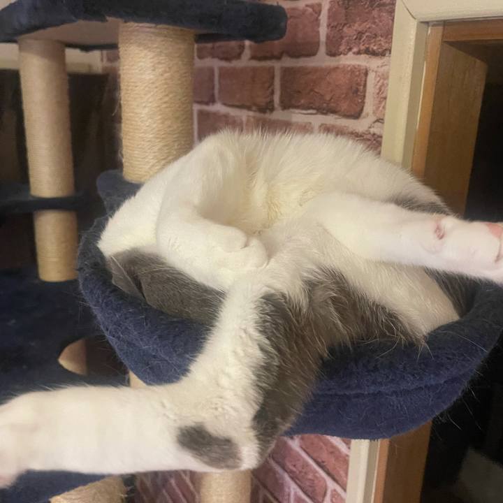 Baa0906f 1992 4043 bd6e 03ebdffb0c11 1639134399644