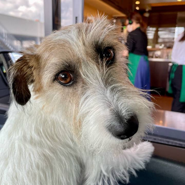 Baa0a325 a727 4e8b 8d49 e9f5775fc1c5 1691389696901