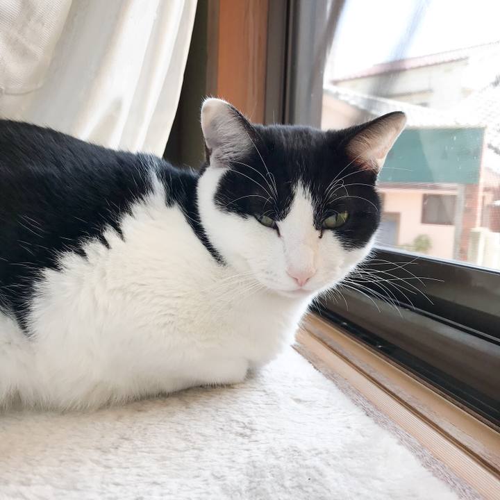 Baa0d3a7 bcf8 4915 8854 ab0f8fadddaa 1520412444360