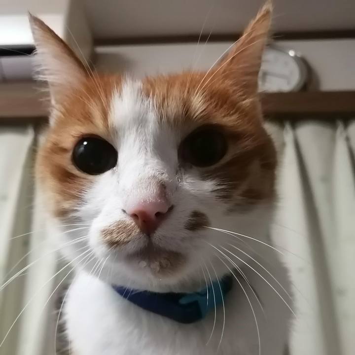 Baa0e758 dbfa 44af a029 fbe3c4ec2016 1614633683307